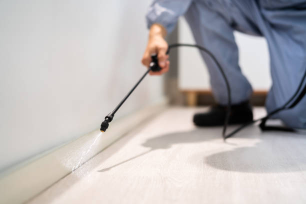 Licensed Mold Removal service in Lely, FL - Singer Pest Control