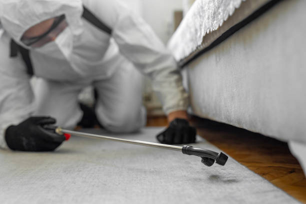 Professional Mold Removal technician working in Lely, FL