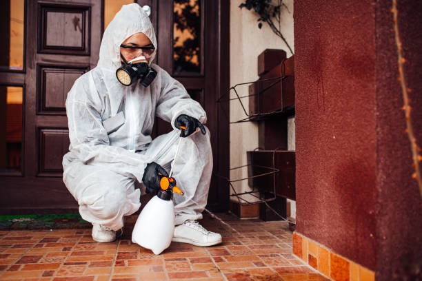 Reliable Mold Removal contractor in Lely, FL by Singer Pest Control